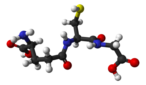 글루타치온_01