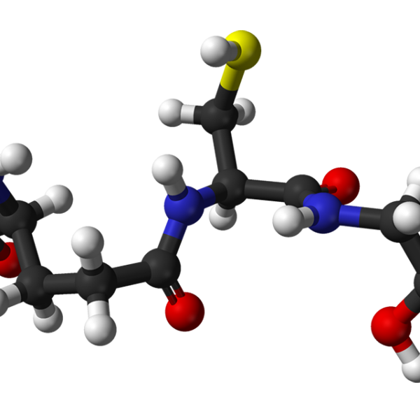 글루타치온_01